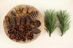 Different cones of coniferous tree and two branches of pine on the white wooden background, top view. photo