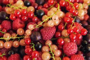 Mixed summer berries - raspberry, blackcurrant, redcurrant, white currant, gooseberry, cherry - on the white wooden background, top view. photo