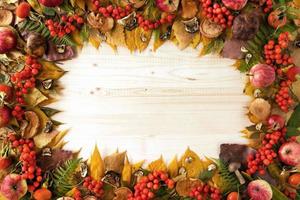 marco de hojas de otoño secas y coloridas, champiñones secos y frescos, escaramujos frescos y serbas, manzanas frescas y secas sobre el fondo de madera, vista superior. foto