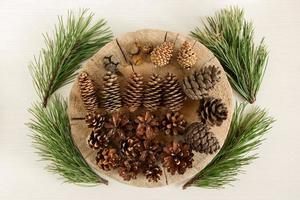 Different cones of coniferous tree and four branches of pine on the white wooden background, top view. photo