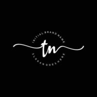 Initial TN handwriting logo template vector