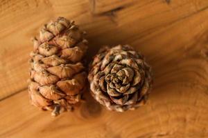 Two pine cones on the wooden background, top view. photo