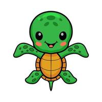 Cute little turtle cartoon posing vector
