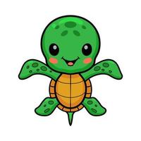 linda pequeña tortuga de dibujos animados posando vector