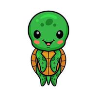 Cute little turtle cartoon posing vector