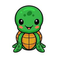 Cute little turtle cartoon sitting vector