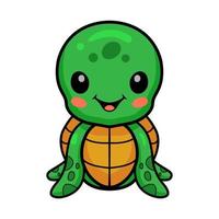 Cute little turtle cartoon sitting vector