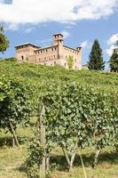 Viñedo en la región de Piamonte, Italia, con el castillo de Grinzane Cavour en el fondo foto