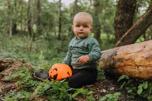 charming cute baby boy with a pumpkin basket for sweets is sitting under a spreading willow at sunset. fabulous magical beautiful forest. Halloween concept. child plays in the outdoor. space for text photo