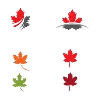 Maple leaf vector illustration