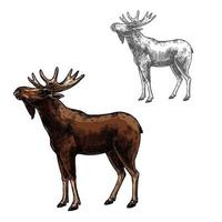 Elk vector sketch wild animal isolated icon