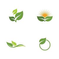 logotipos de la ecología de la hoja del árbol verde vector