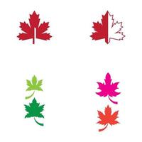 Maple leaf vector illustration