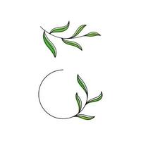 Olive leaf vector illustration design