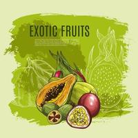 cartel de boceto de frutas exóticas para comida, diseño de bebidas vector