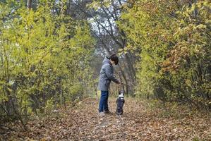 A happy and joyful boy walks with his buddy, a Boston terrier puppy, in a beautiful golden autumn forest. A child plays and has fun with a dog while walking outdoors in nature. photo