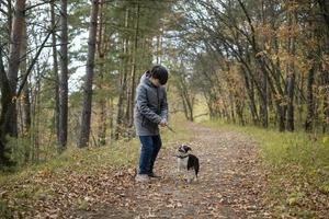 A happy and joyful boy walks with his buddy, a Boston terrier puppy, in a beautiful golden autumn forest. A child plays and has fun with a dog while walking outdoors in nature. photo