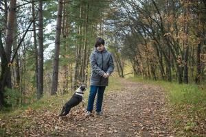 A happy and joyful boy walks with his buddy, a Boston terrier puppy, in a beautiful golden autumn forest. A child plays and has fun with a dog while walking outdoors in nature. photo