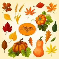 Autumn vegetable and fallen leaf icon set design vector