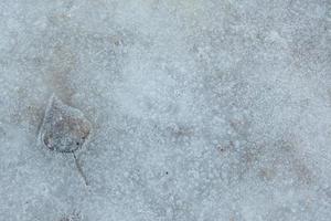 hoja amarilla de otoño en el hielo. imagen macro con poca profundidad de campo foto