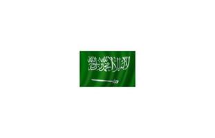 bandera de arabia saudita diseño vectorial 3d vector