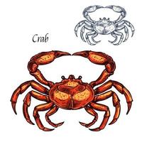 Red crab animal isolated sketch vector