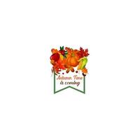 cartel de hoja de calabaza de vector de cosecha de otoño