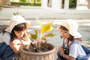 hermanos niña asiática está plantando árboles de flores de primavera en macetas en el jardín fuera de la casa, educación infantil de la naturaleza. cuidando una nueva vida. concepto de vacaciones del día de la tierra. día Mundial del Medio Ambiente. ecología. foto