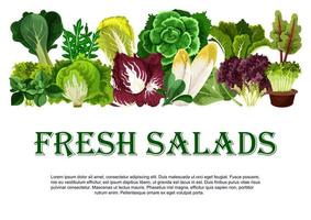 Vector poster of fresh salads leafy vegetables