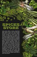 cartel de tienda de granja de especias y hierbas de bosquejo vectorial