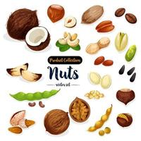 Nuts, seed, bean cartoon icon set for food design vector