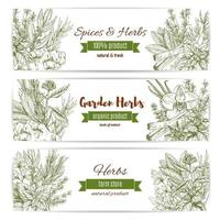 banners de boceto de vector de especias y hierbas