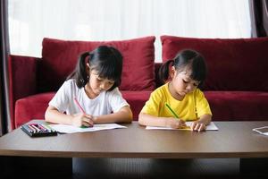 Two asian child girl students study online with teacher by video call together. Siblings are homeschooling with computer laptop during quarantine due to Covid 19 pandemic. photo