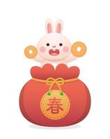 Cute bunny character or mascot, Chinese lunar new year elements, gold coins and red bag, vector cartoon style