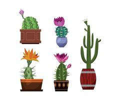 Set of Cactuses in Pots vector