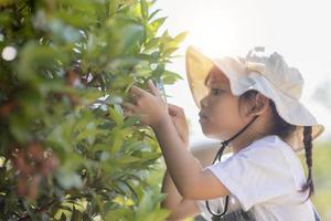 Asian little girl is looking at tree leaves through magnifier, outdoor shoot photo