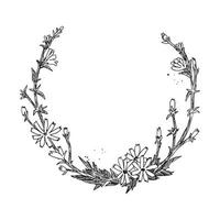 Monochrome of wreaths in sketch style vector