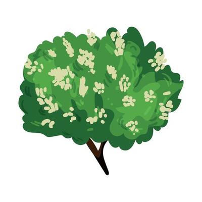 Vector illustrator of  Detailed Bushes