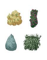 Set of Detailed Bushes vector