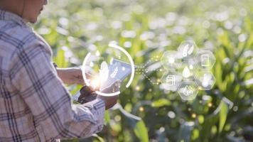 Agriculture technology farmer man using tablet computer analysis data and visual icon. photo