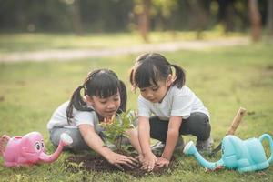 hermano asiático plantando un árbol joven en suelo negro juntos para salvar el mundo en el jardín el día de verano. árbol de plantación. concepto de infancia y ocio al aire libre.