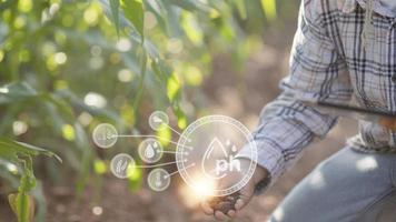 soil in hands for check the quality of the soil for control soil quality before seed plant. Future agriculture concept. Smart farming, using modern technologies in agriculture photo