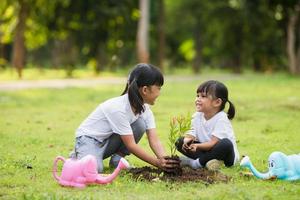 Asian sibling planting young tree on black soil together as save world in garden on summer day. Planting tree. Childchood and outdoor leisure concept. photo