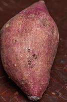 holes that are damage caused by insects in sweet potato photo