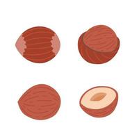 Hazelnut set. Illustration for printing, backgrounds, covers and packaging. Image can be used for greeting cards, posters, stickers and textile. Isolated on white background. vector