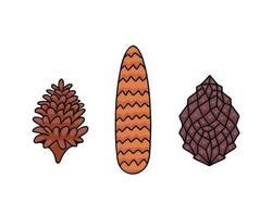 Pine cones set. Illustration for printing, backgrounds, covers and packaging. Image can be used for greeting cards, posters, stickers and textile. Isolated on white background. vector