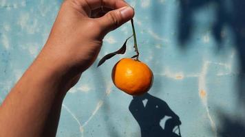 Hand holding mandarin orange against blue wall photo