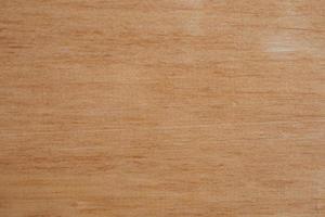 wood texture background with copy space for design or text. High quality for your work. concept of wallpaper or website. Top view natural materials photo