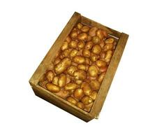 Wooden box with potatoes on a white background photo