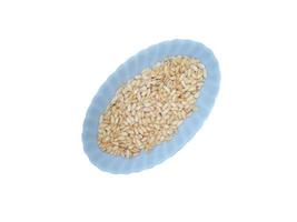 Blue plate with melon seeds on a white background photo